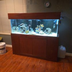 FISH TANKS TANK AQUARIUM SALTWATER 