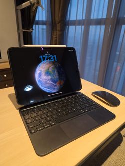 iPad Pro (M4) 11" WiFi and Cellular (2024) 1 TB Space Black