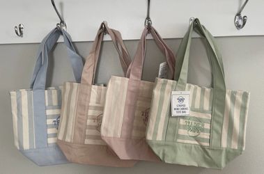Trader Joe’s Set of 4 Striped Canvas Mini Tote Bags