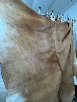Natural Cowhide Rug Hair-On Hide