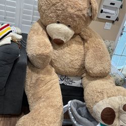 Bear