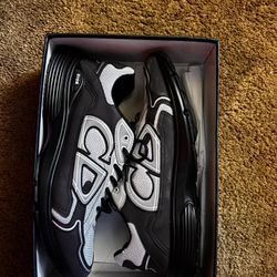 Dior B30