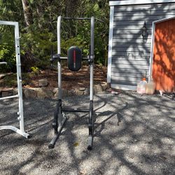 Home Gym Tower