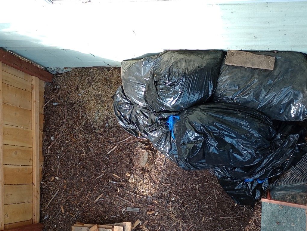 Composters/Gardeners Dream.... Goat Manure