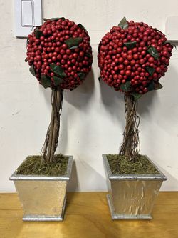 Berry Topiary set