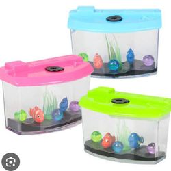 Big Goldfish Toy 4" + 