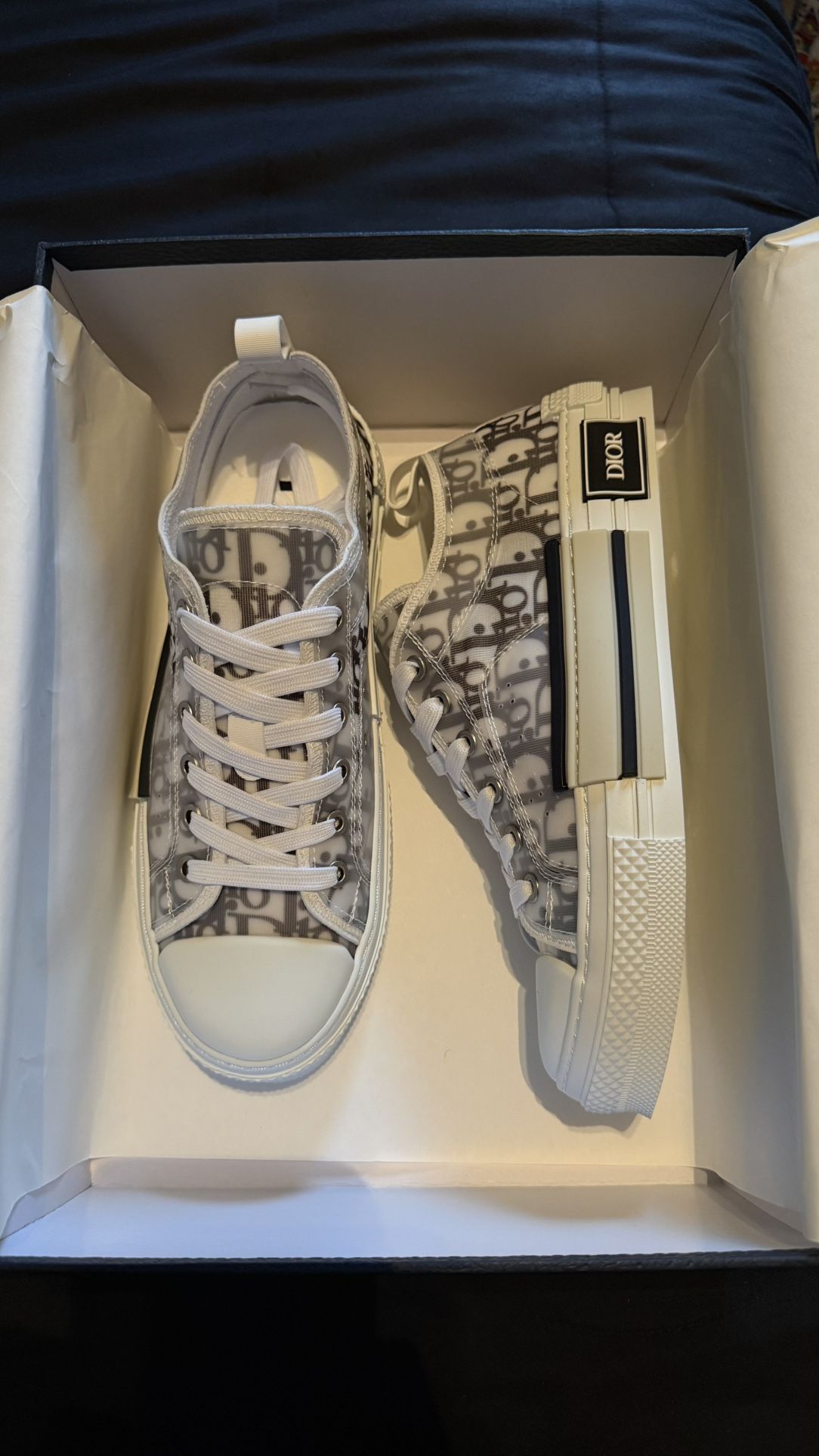 Men Dior B23