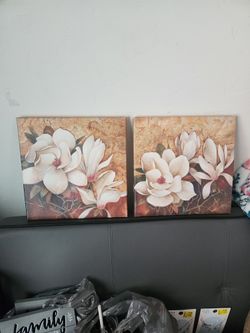 Pictures