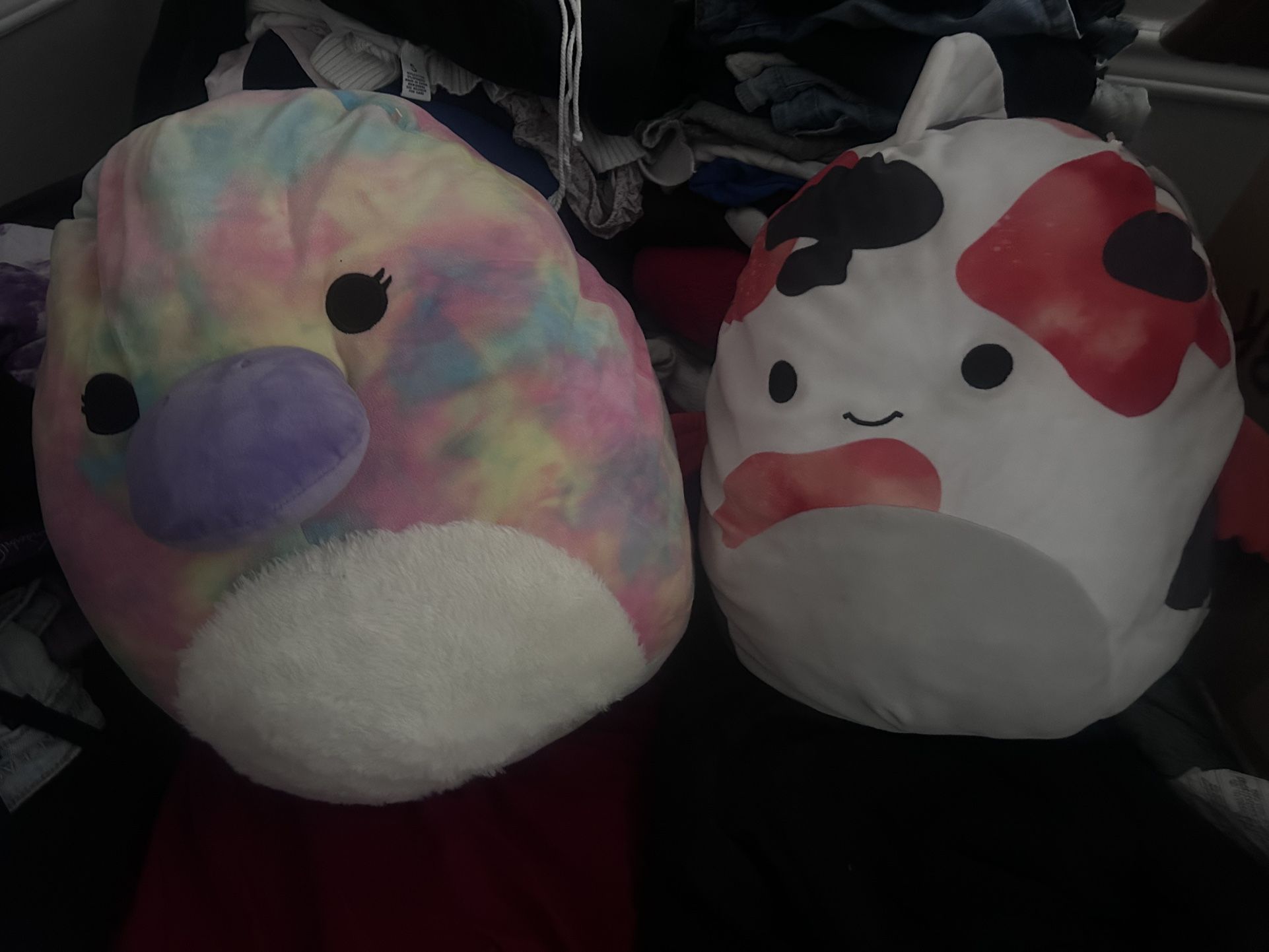 Giant Squishmallows 