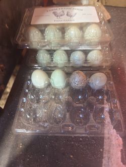 Quail
