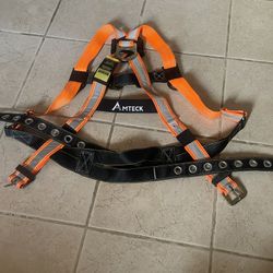 Harness