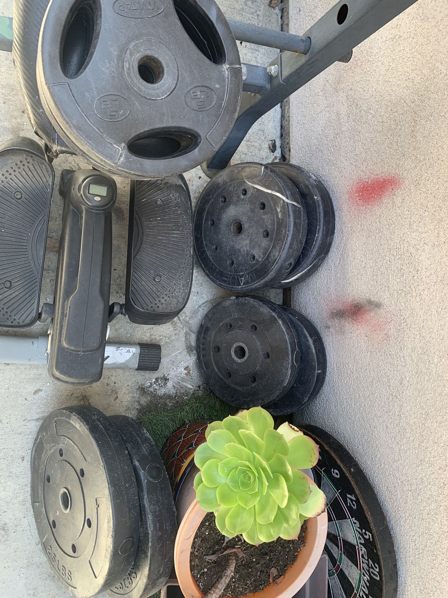 Weights + Bench 