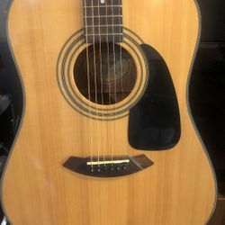 Fender Accoustic