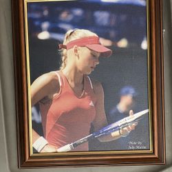 Anna Kournikova, Framed
