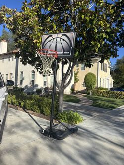 Free Basketball Hoop And Table W/ Benches