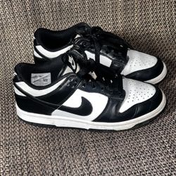 Kids Nike Dunks Low 