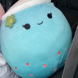 Plushies/Squishmalows