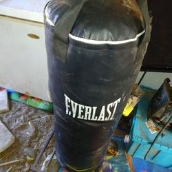 Everlast Heavy Bag