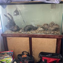 Fish Tank  