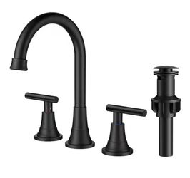 Forious pro 8 in. Widespread Double Handle Bathroom Faucet with High Arch Gooseneck in Black