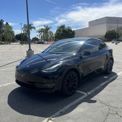 2020 Tesla Model Y