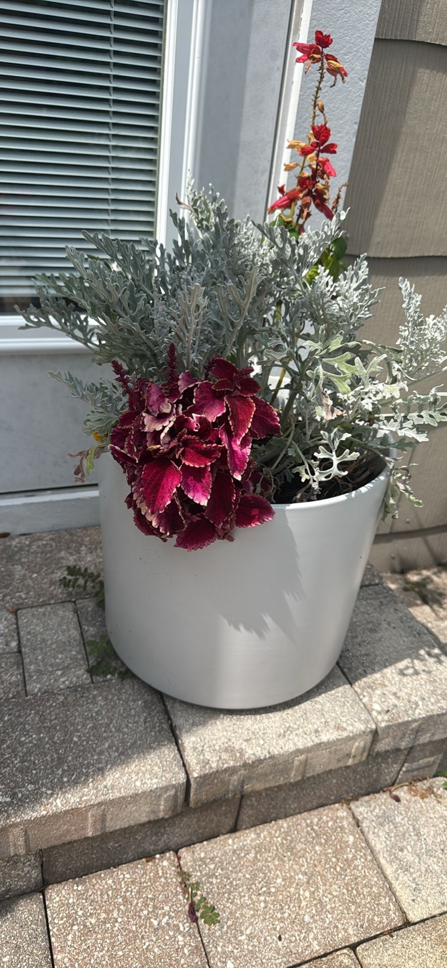 Flowers And Pot