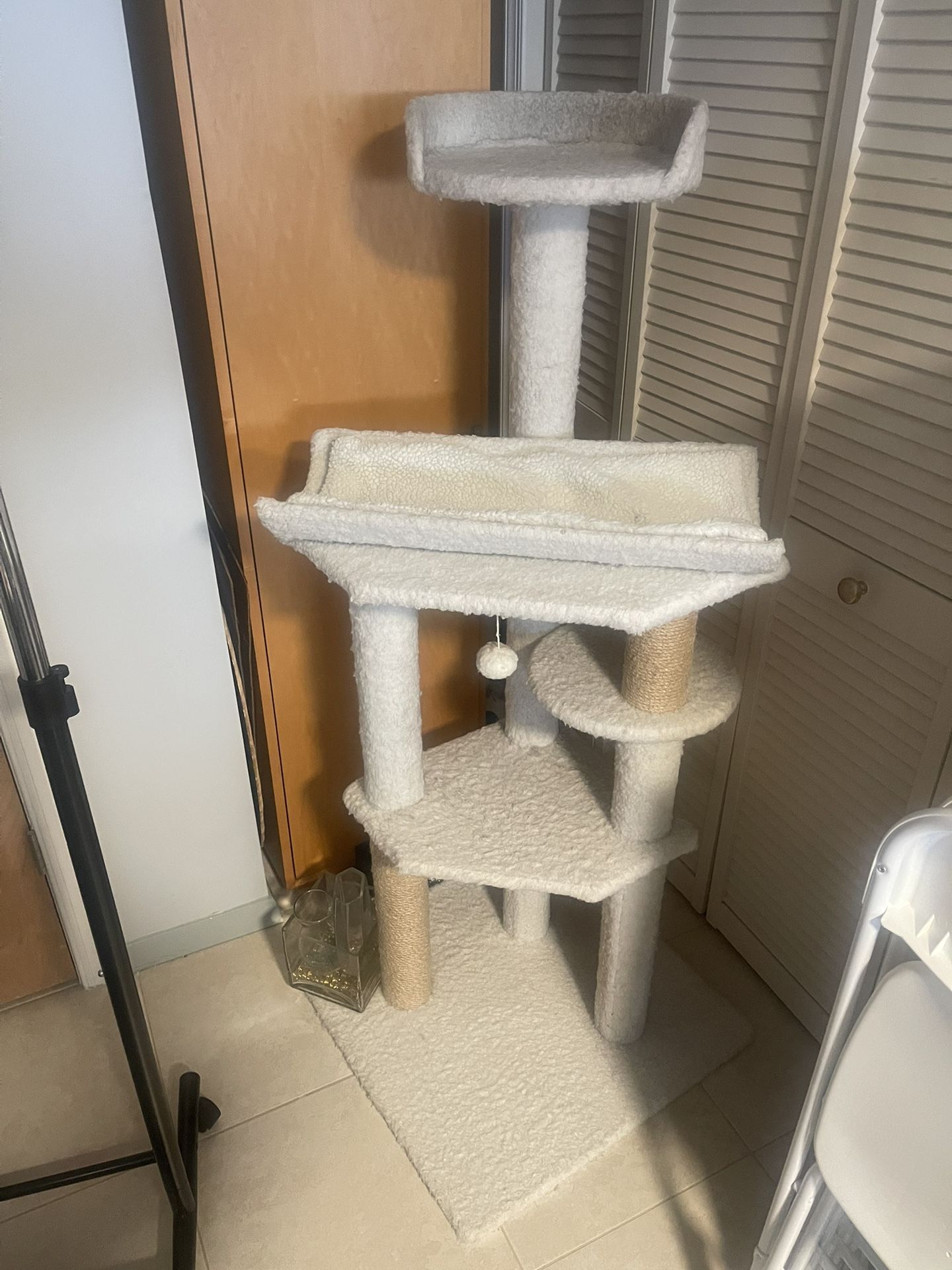 For Cats