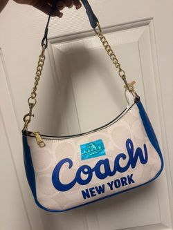 Blue and white bag