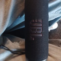 2 JBL Portable Speakers