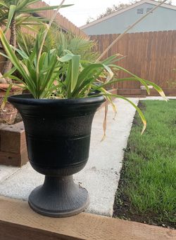 Planter