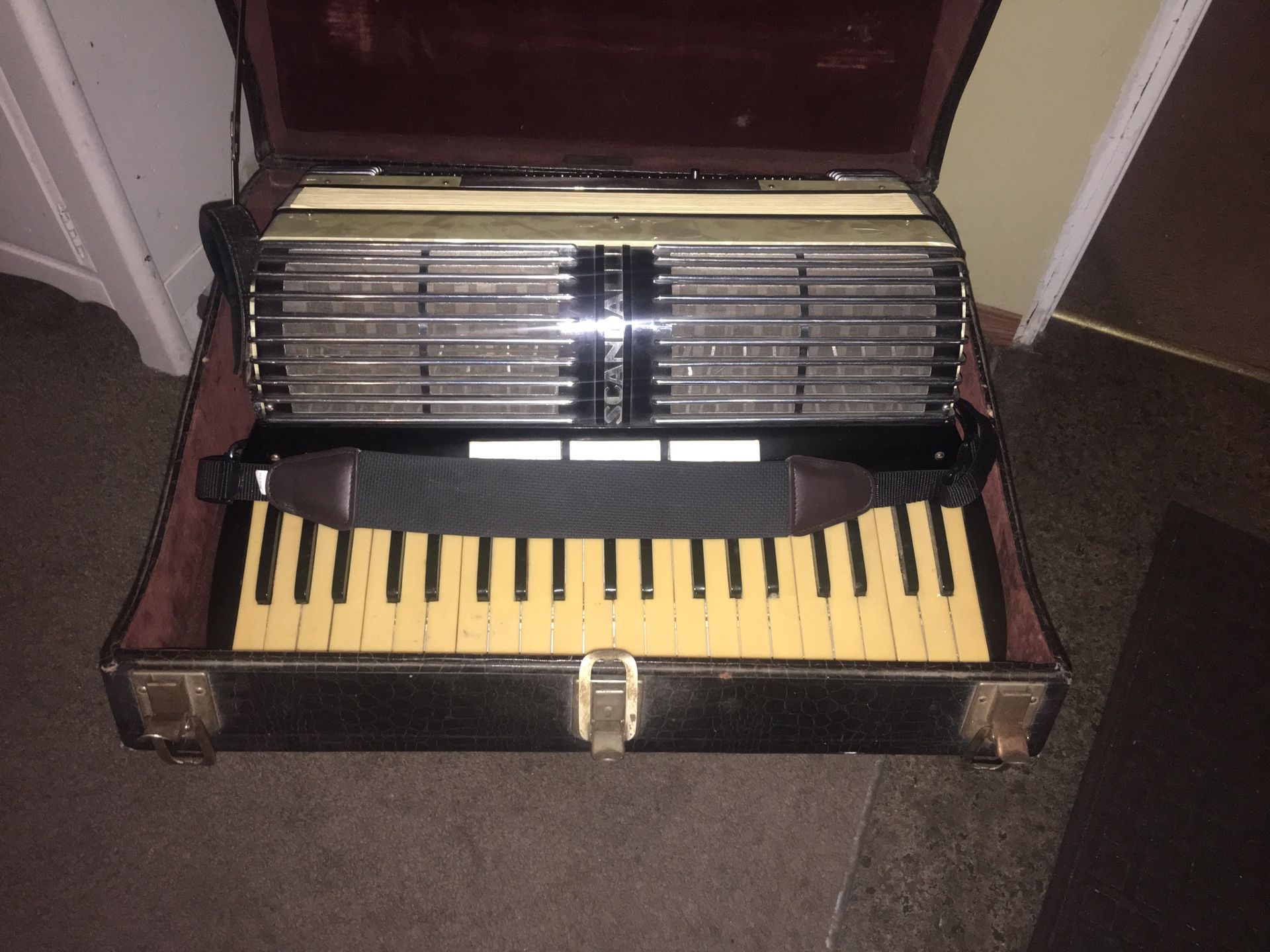 Awesome Sounding Accordion