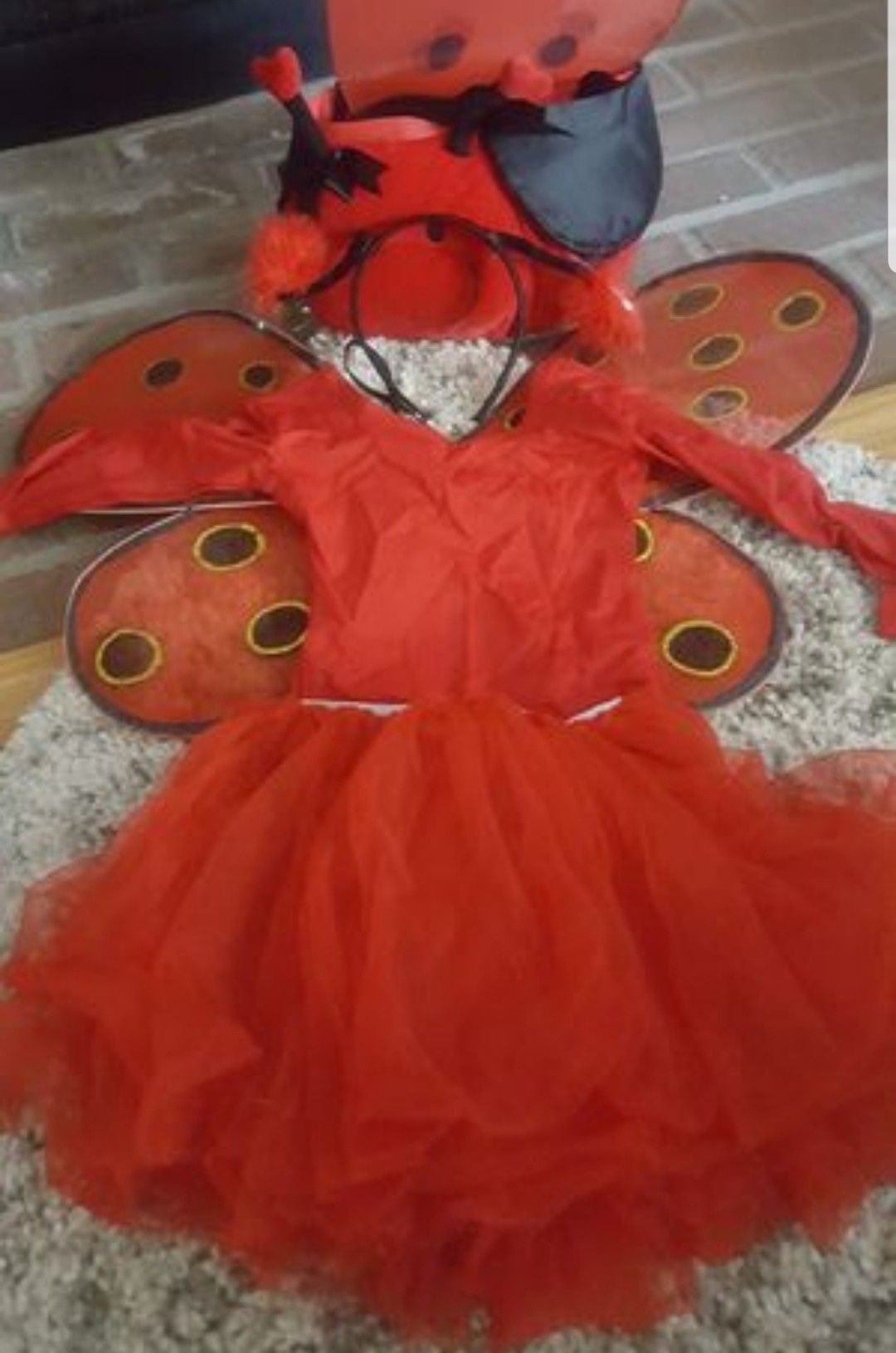 Halloween girl costume. Lady bug. 10-12