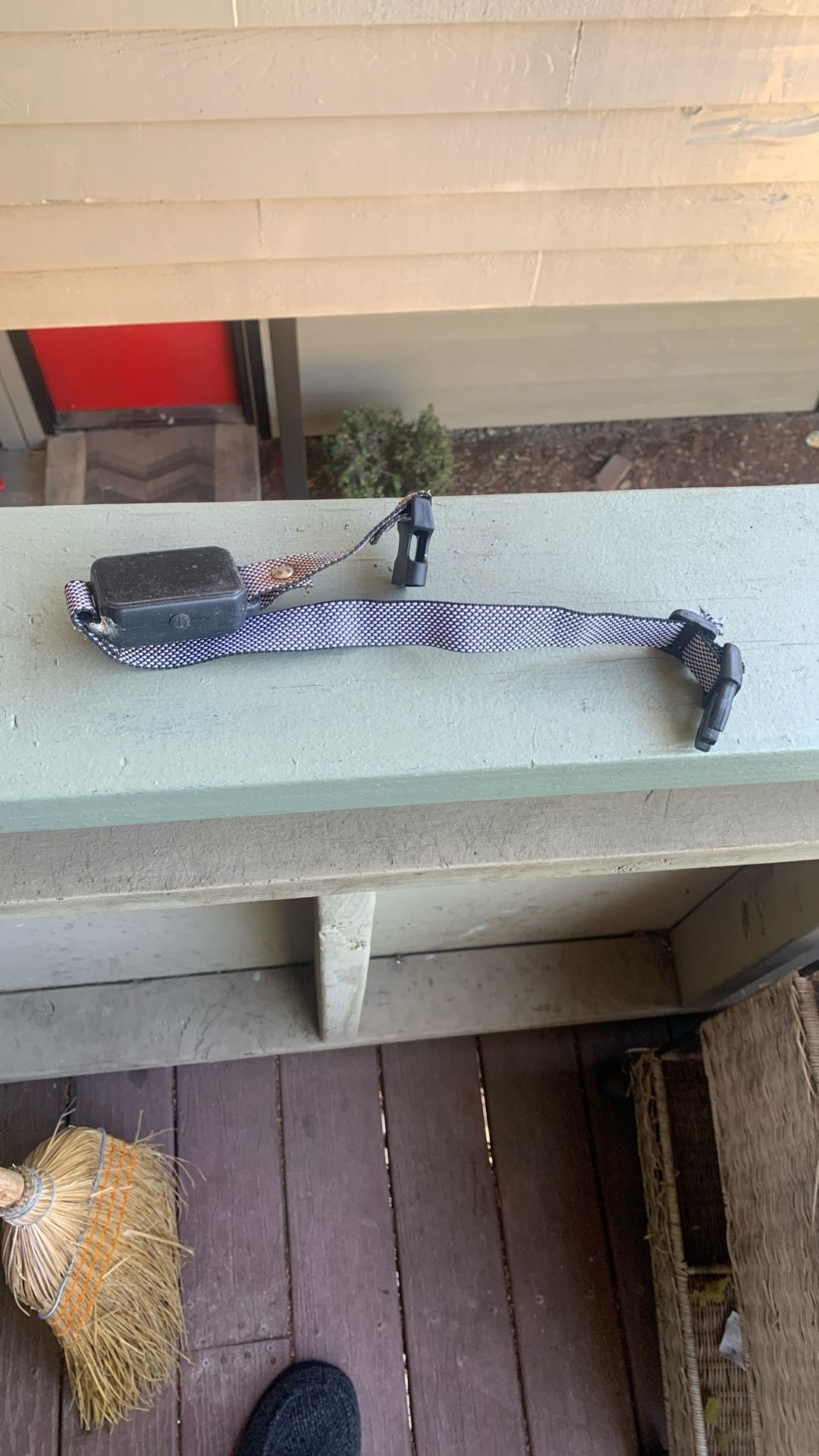 Dog Collar