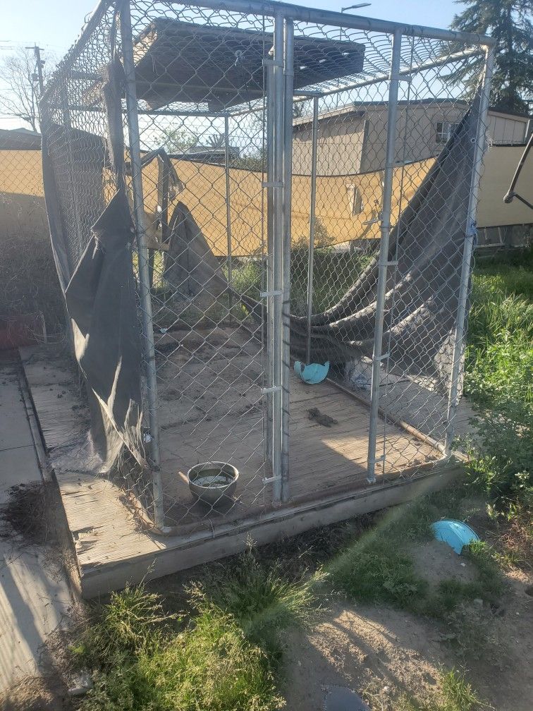 Dog Cage/kennel Want $100 Each Firm