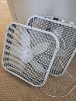 Lasko Fans