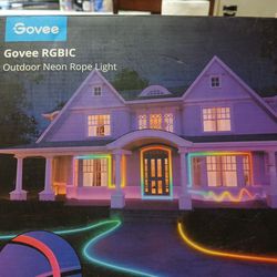Govee Light