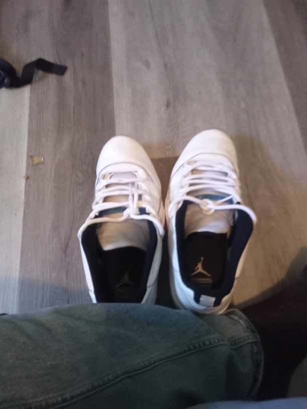 Jordans 11s Retro Lows 