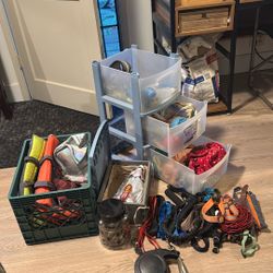 Midsize Dog Supplies OBO 
