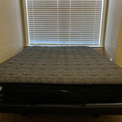Sealy Mattress and  Adjustable Base