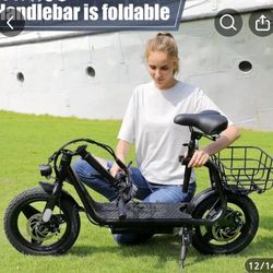 Electric Scooter 