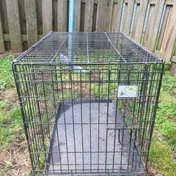 Dog Cage