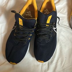 Nike Air Zoom Pegasus 39 'West Virginia Running Shoe