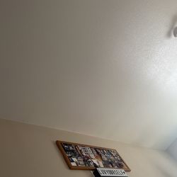 Cork Board