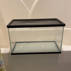 10 Gallon Aquarium 