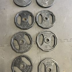 Weight Plates.            20 Dollars 