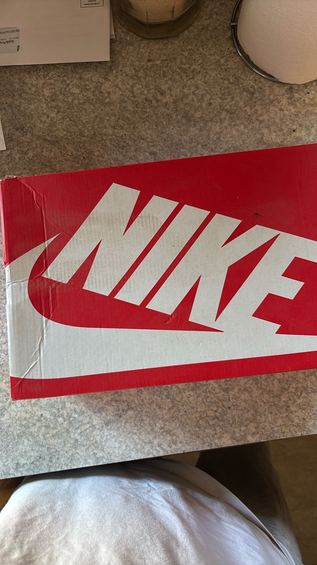 Nike Dunks