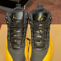   air jordan 12 retro black university gold 