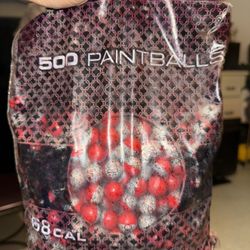 Paintballs (500 Bag Plus Whatever’s In the Box)
