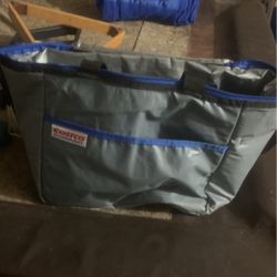 Costco Bag Cooler 