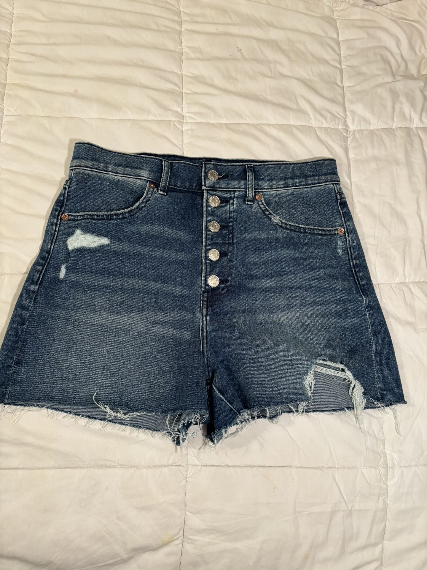 Express Shorts